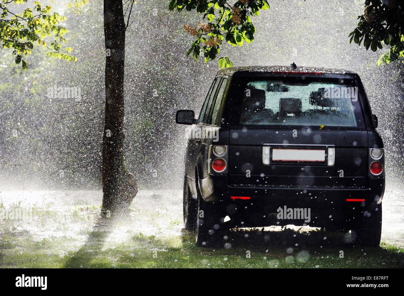 SUV parcheggiato sotto la pioggia, il sole splende attraverso gli alberi, Austria Foto Stock