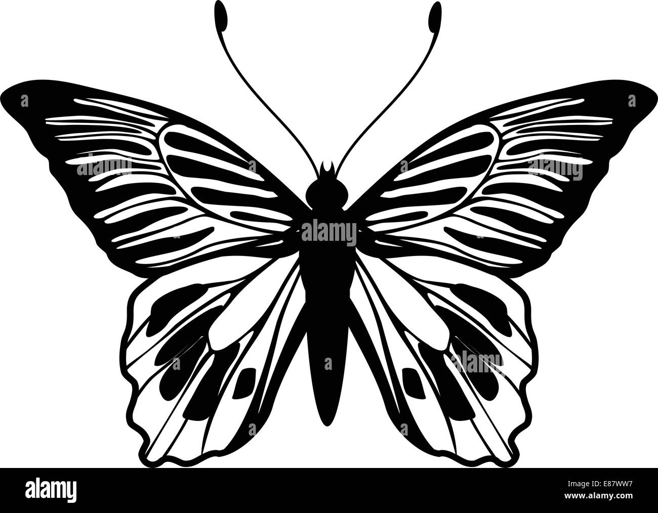 Illustrazione Vettoriale di dettagliate butterfly silhouette. Illustrazione Vettoriale