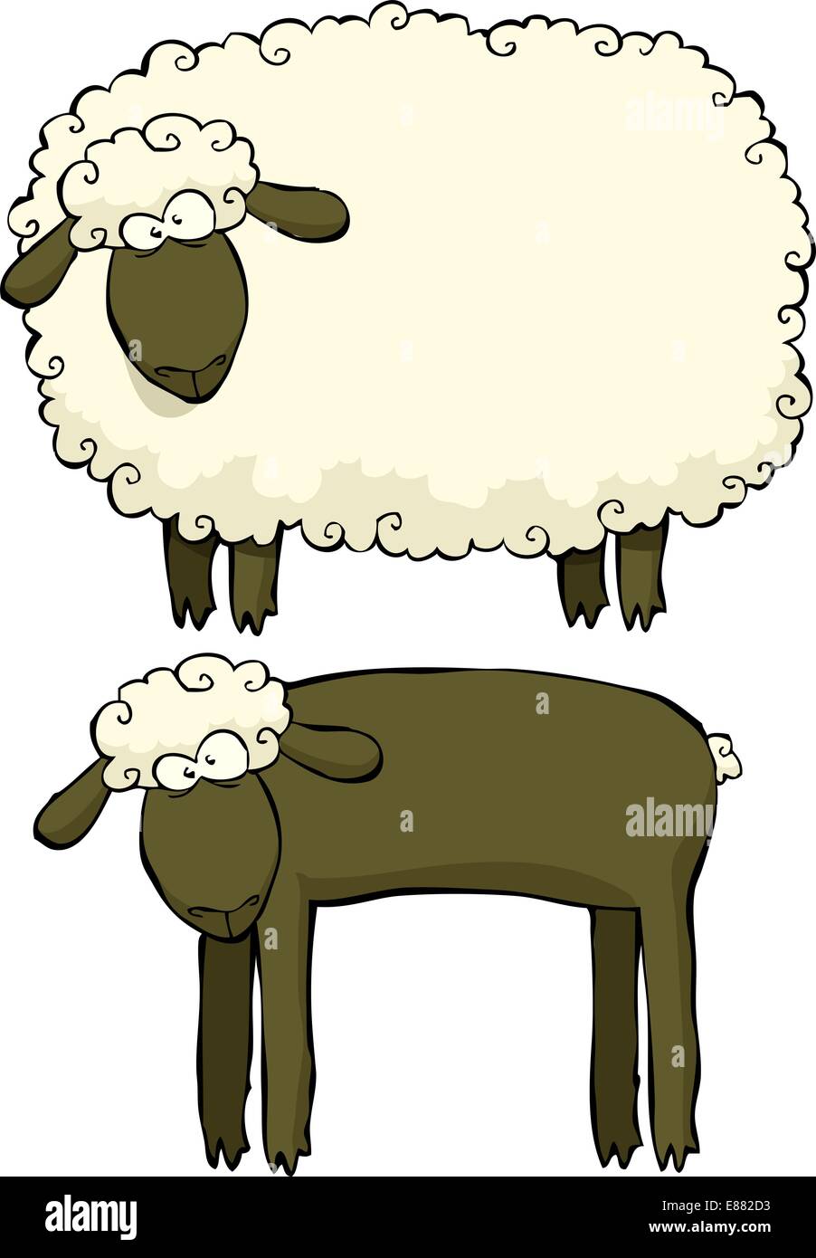 Due pecore su uno sfondo bianco illustrazione vettoriale Illustrazione Vettoriale