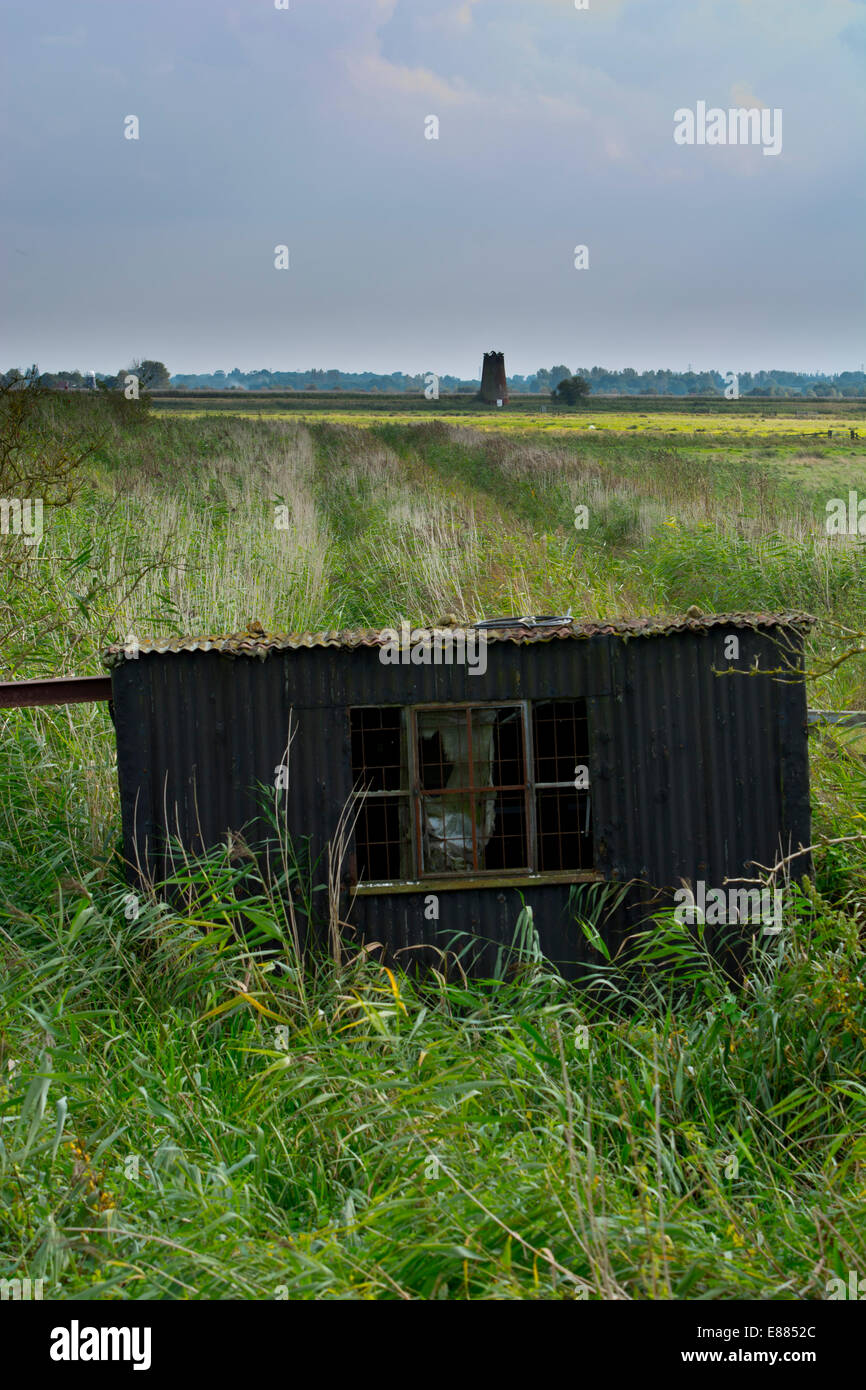 Capanna di stagno capannone nel campo paludi Foto Stock
