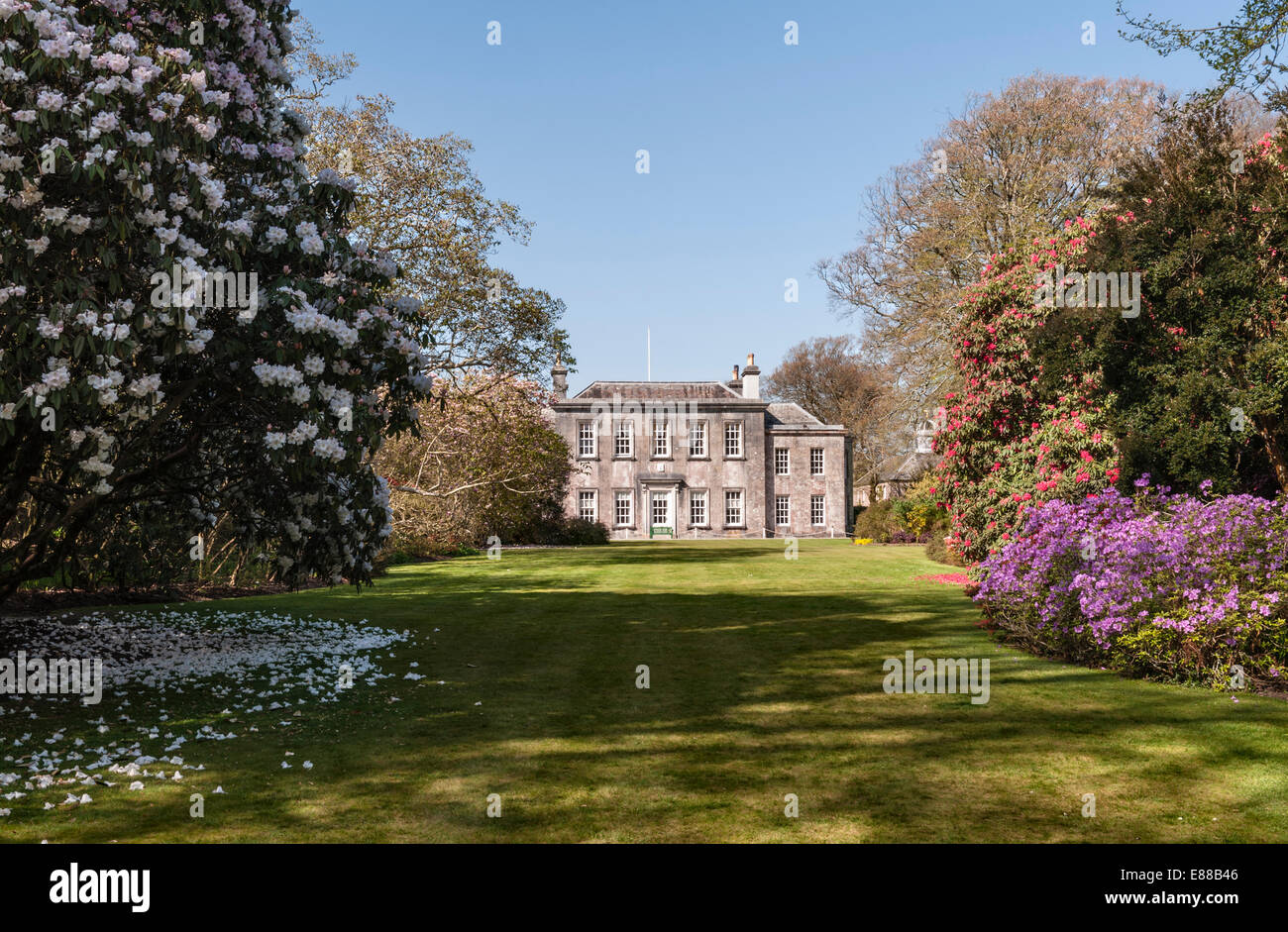 Trewithen gardens, Truro, Cornwall, Regno Unito. La casa è stata ricostruita nel 1738 Foto Stock