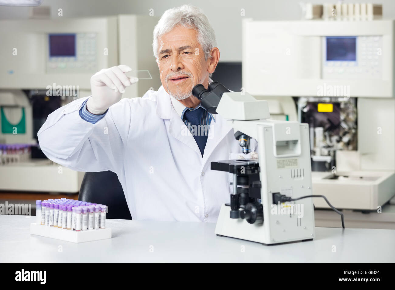 Scienziato analizzando vetrino del microscopio in laboratorio Foto Stock