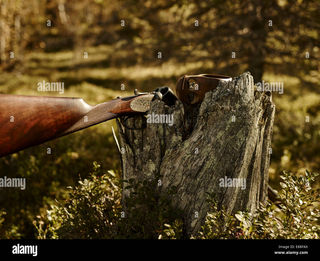 Il fianco a fianco un fucile e il guksi sul moncone di pino - immagine oscurata Foto Stock