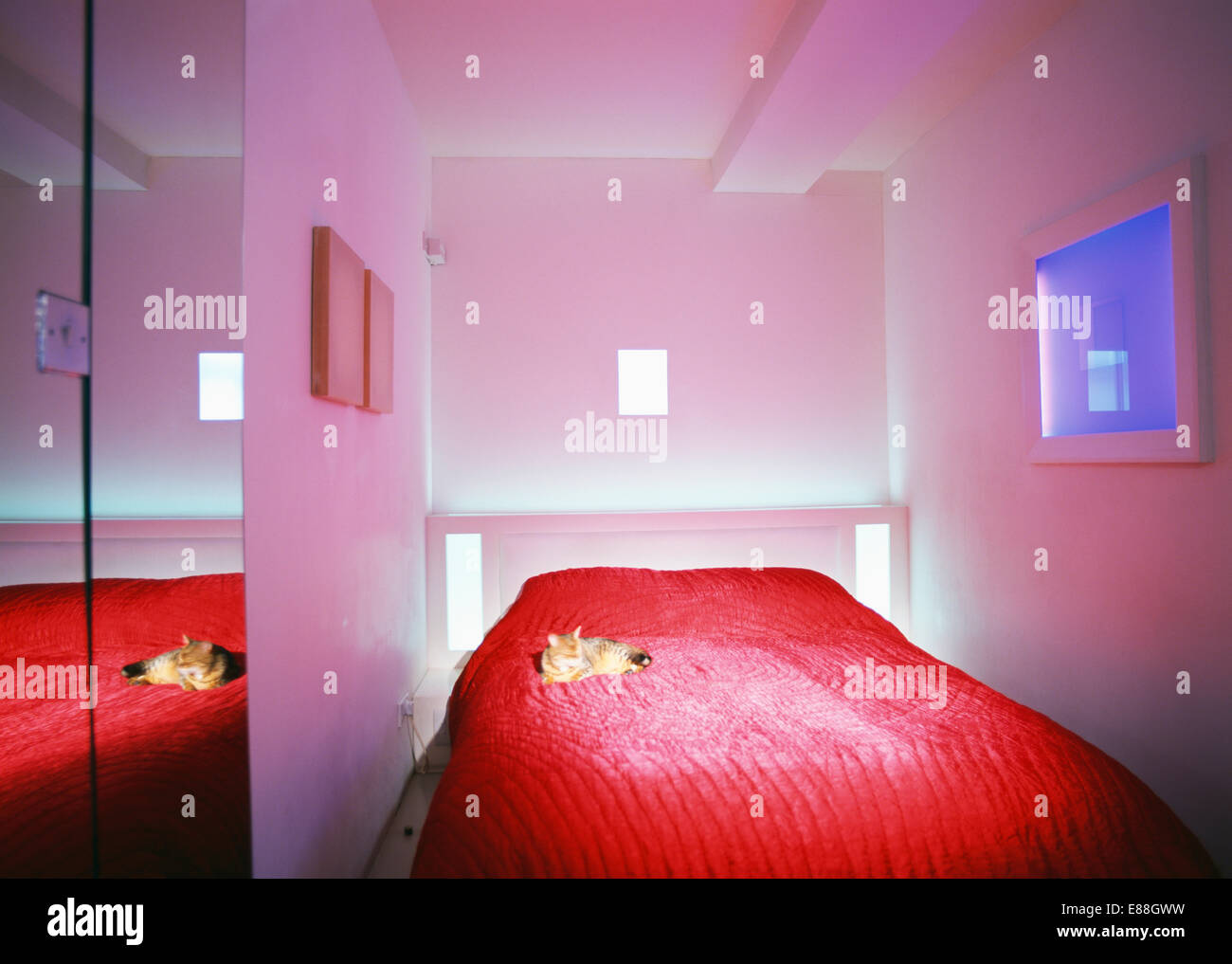 Gatto rosso sul copriletto di seta sul letto in stretta moderna camera da letto bianco con porte a specchio sul guardaroba Foto Stock