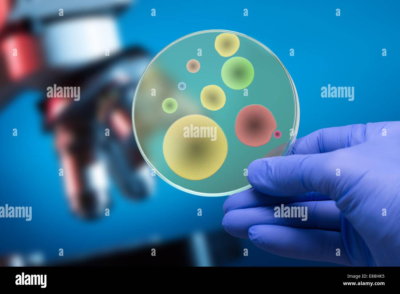 Scientifici microscopio biologico e piastra di petri con copyspace Foto Stock