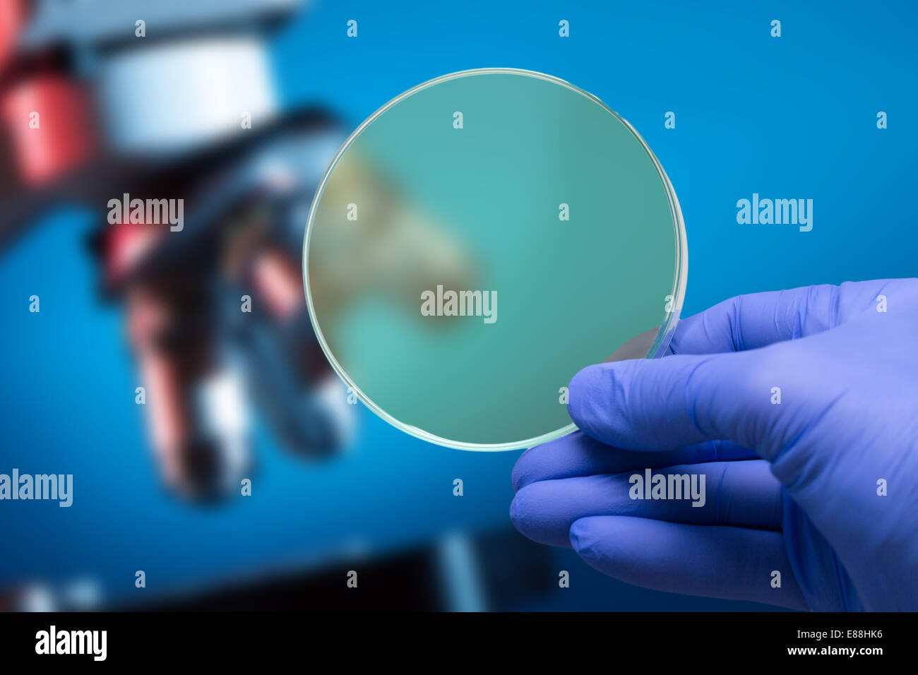 Scientifici microscopio biologico e piastra di petri con copyspace Foto Stock