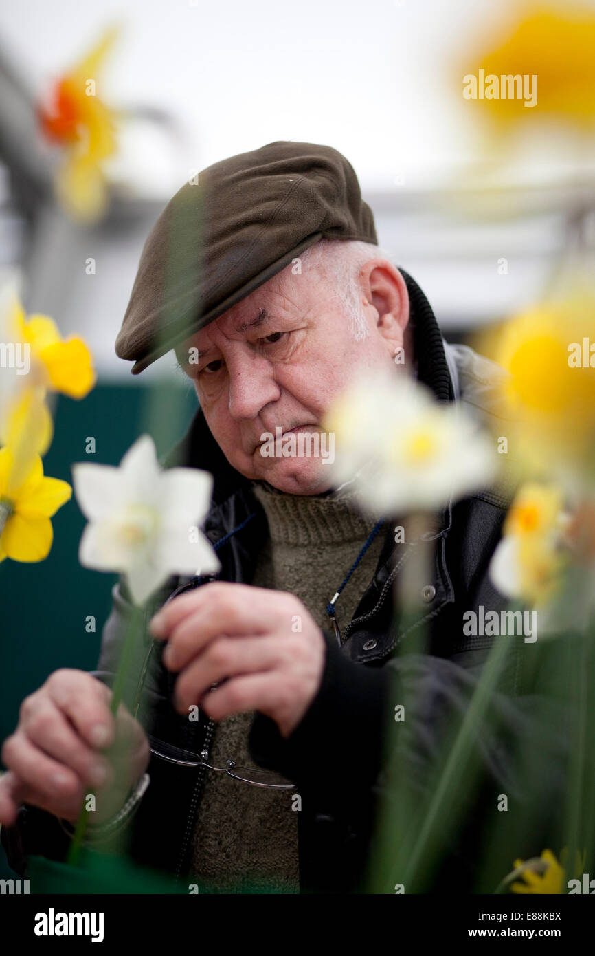 25/4/12 la molla di Harrogate Flower Show 2012 Foto Stock