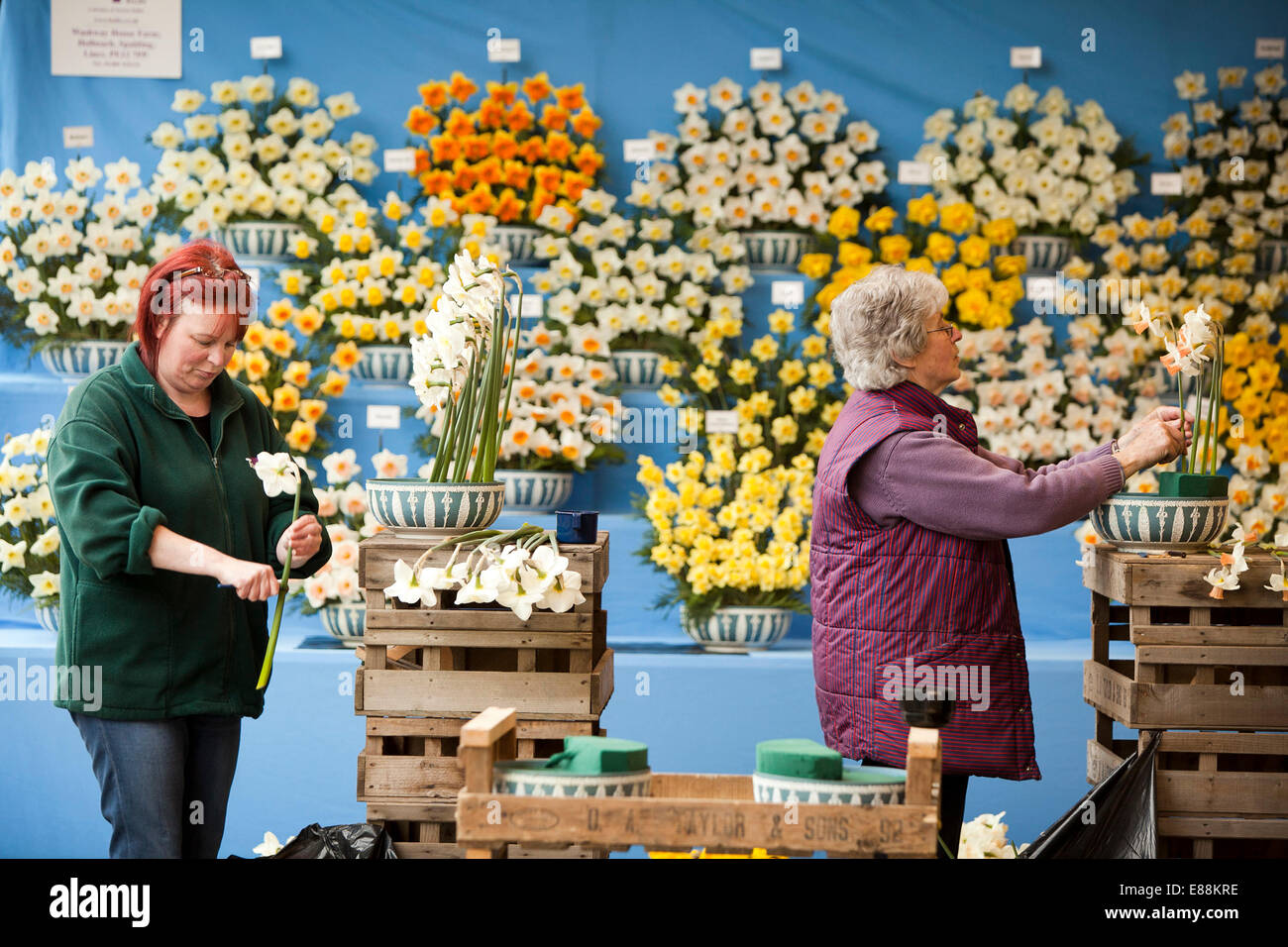 25/4/12 la molla di Harrogate Flower Show 2012 Foto Stock