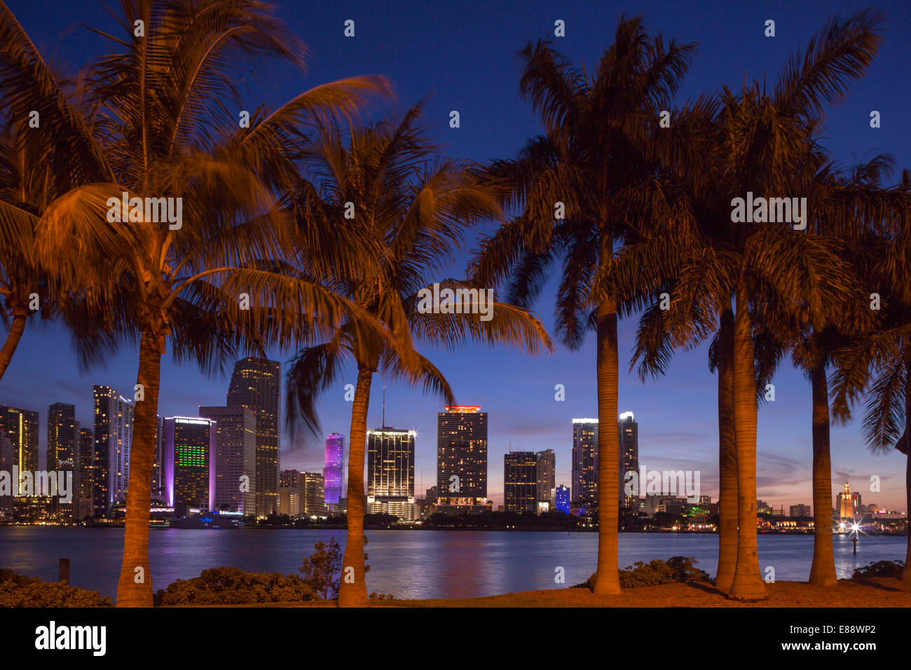 Palme isola Watson skyline del centro di Biscayne Bay Miami Florida USA Foto Stock