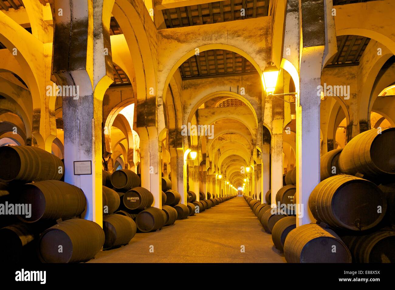 Bodegas Harvey, Jerez de la Frontera, la provincia di Cadiz Cadice, Andalusia, Spagna, Europa Foto Stock