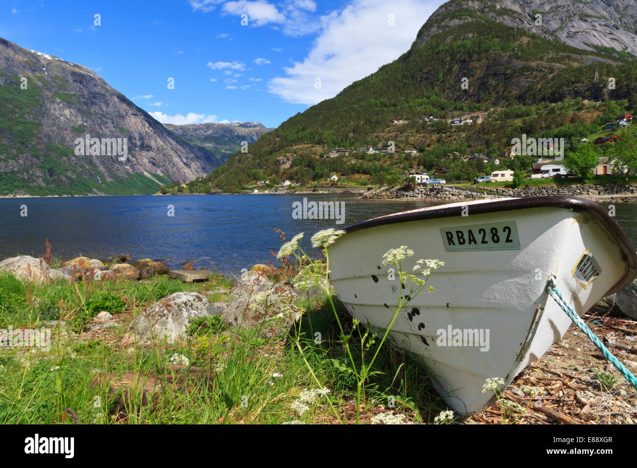 Barca a remi e cow prezzemolo sulla riva del Eidfjorden, Eidfjord, Hordaland, Hardanger, Norvegia, Scandinavia, Europa Foto Stock