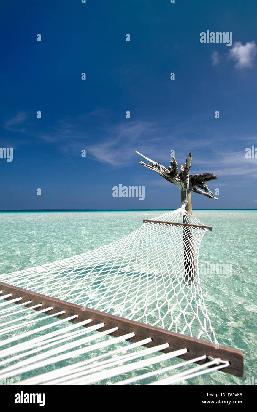 Amaca in laguna tropicale, Maldive, Oceano Indiano, Asia Foto Stock