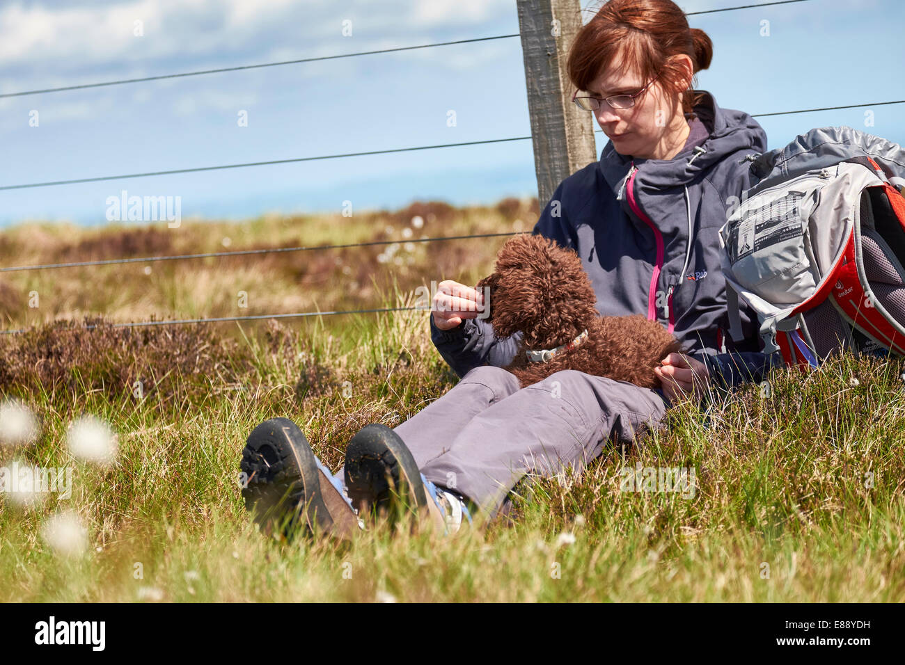Una femmina di escursionista alimentando il loro cane mentre fuori su una passeggiata in campagna. Foto Stock