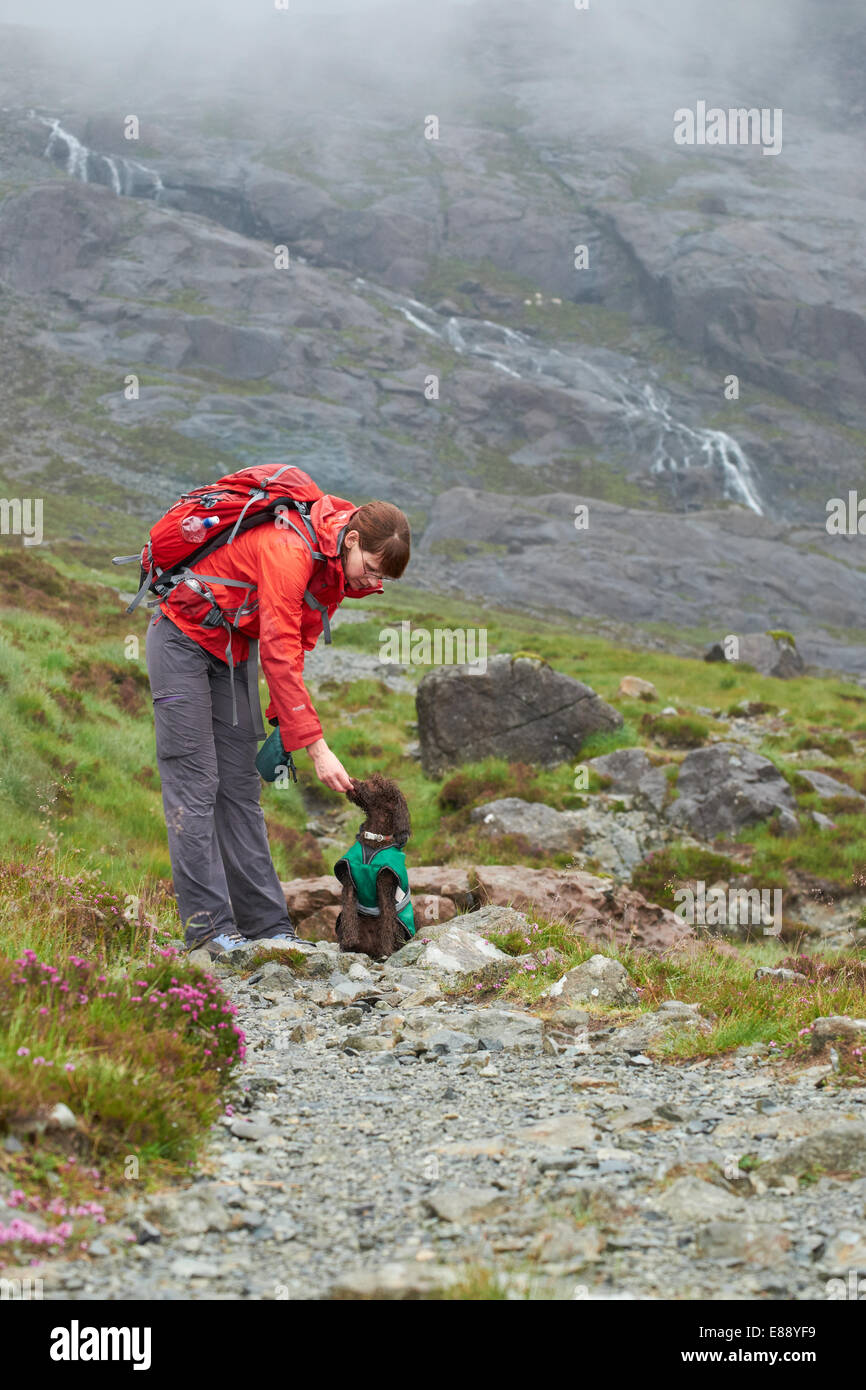 Un escursionista alimentando il loro cane tratta mentre fuori su una passeggiata in montagna sull'Isola di Skye. Foto Stock