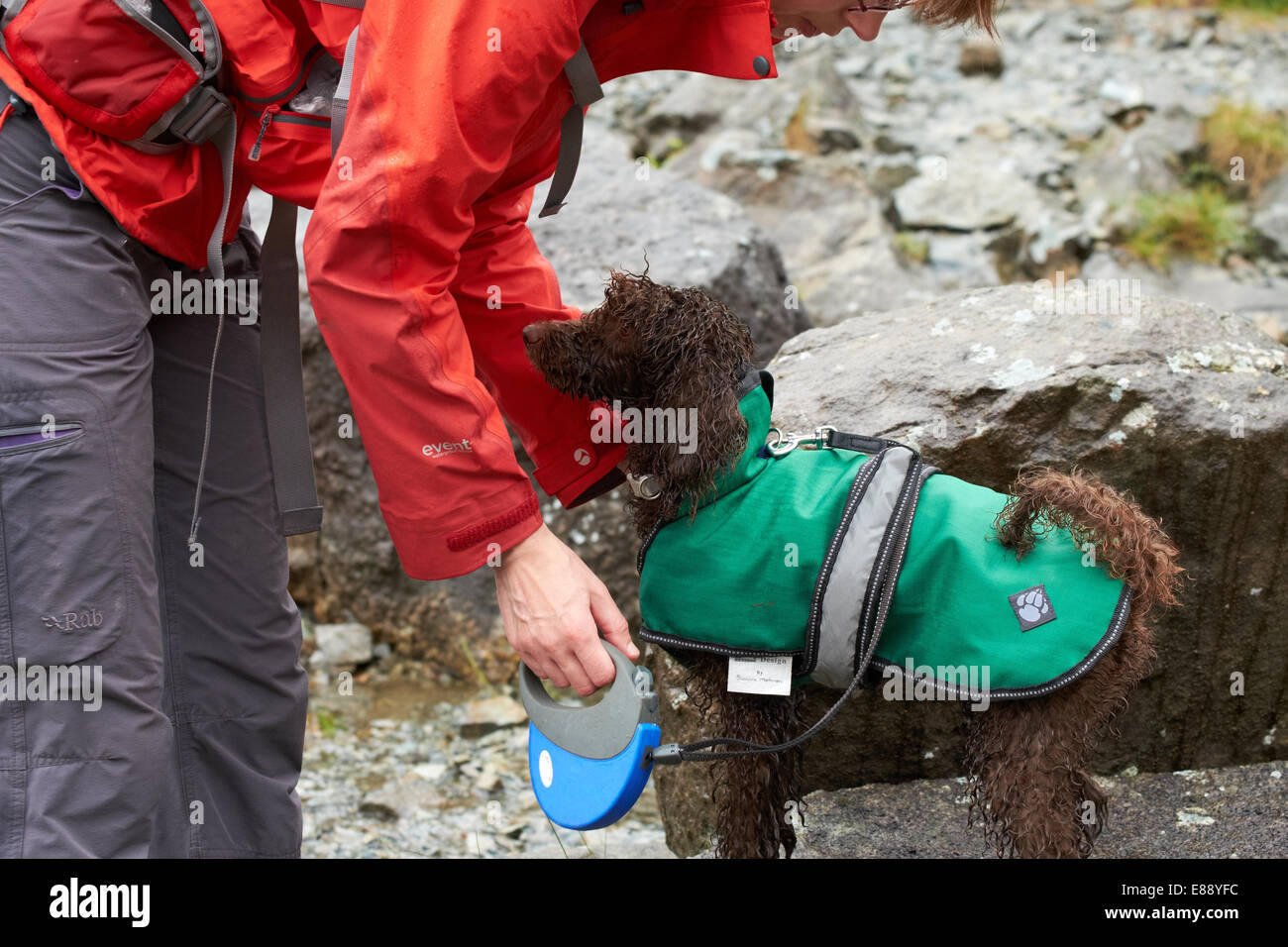 Un escursionista mettendo su una giacca impermeabile sul loro cane mentre sono fuori per una passeggiata in montagna. Foto Stock