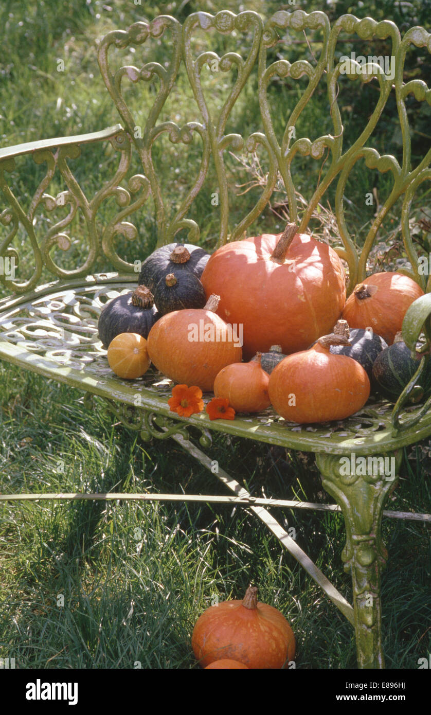 Still-Life di zucche arancione sul dipinto di ferro battuto sedia Foto Stock