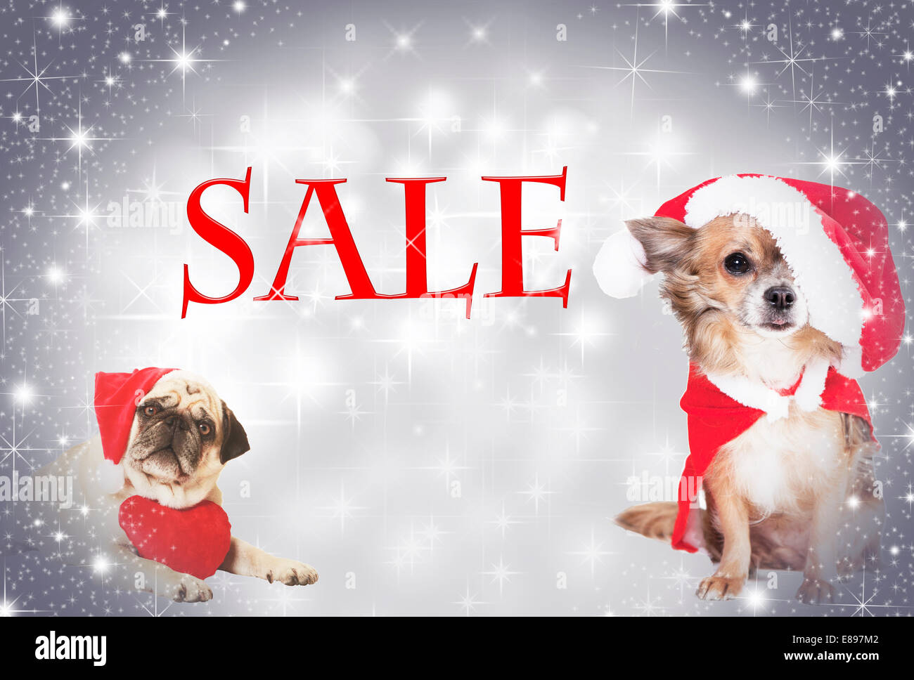 Due cani vestiti da Babbo Natale prima di sfondo scintillante, con testo di vendita Foto Stock