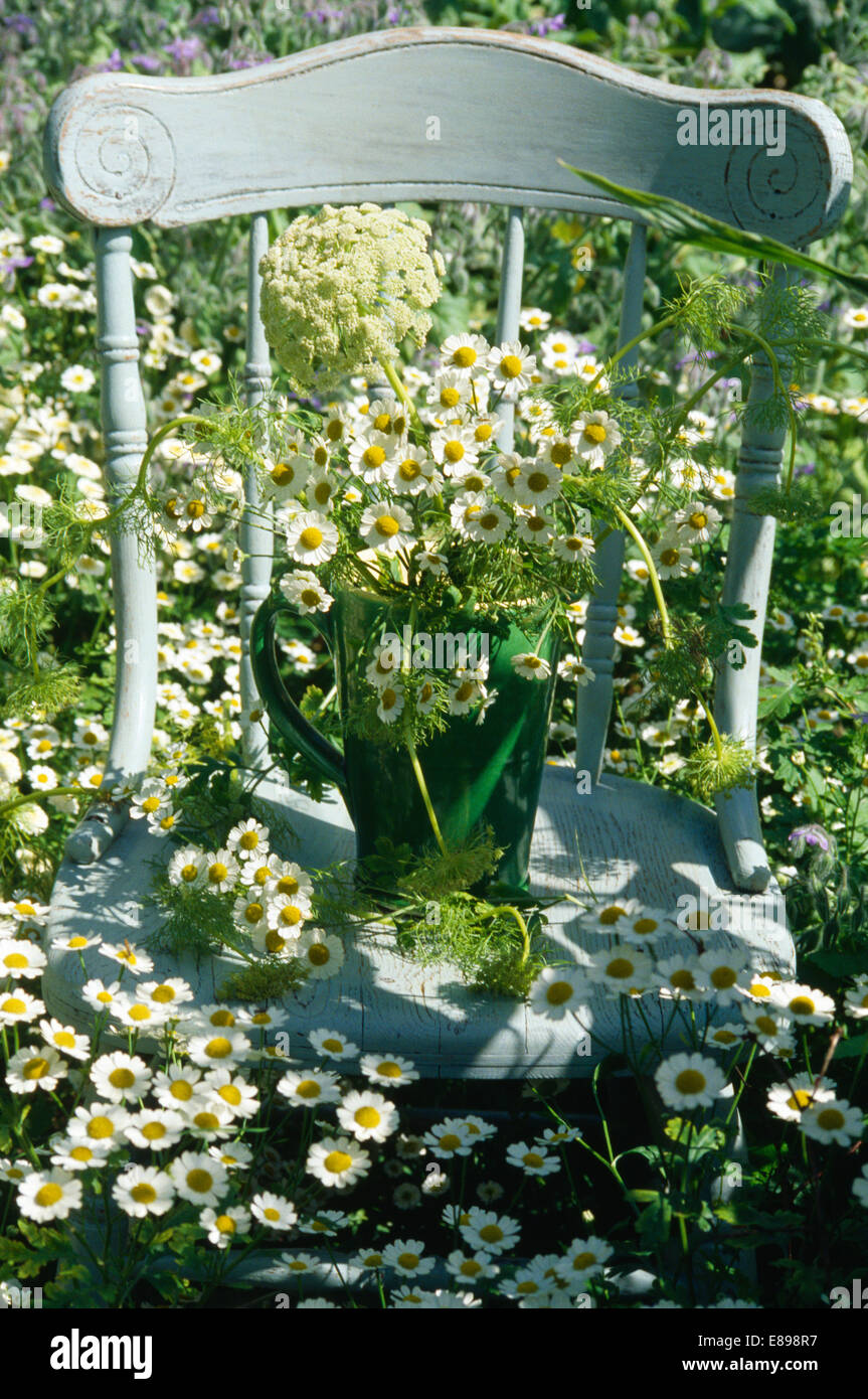 Still-Life di margherite bianco in caraffa verde sulla sedia dipinta in agglomerato di margherite Foto Stock