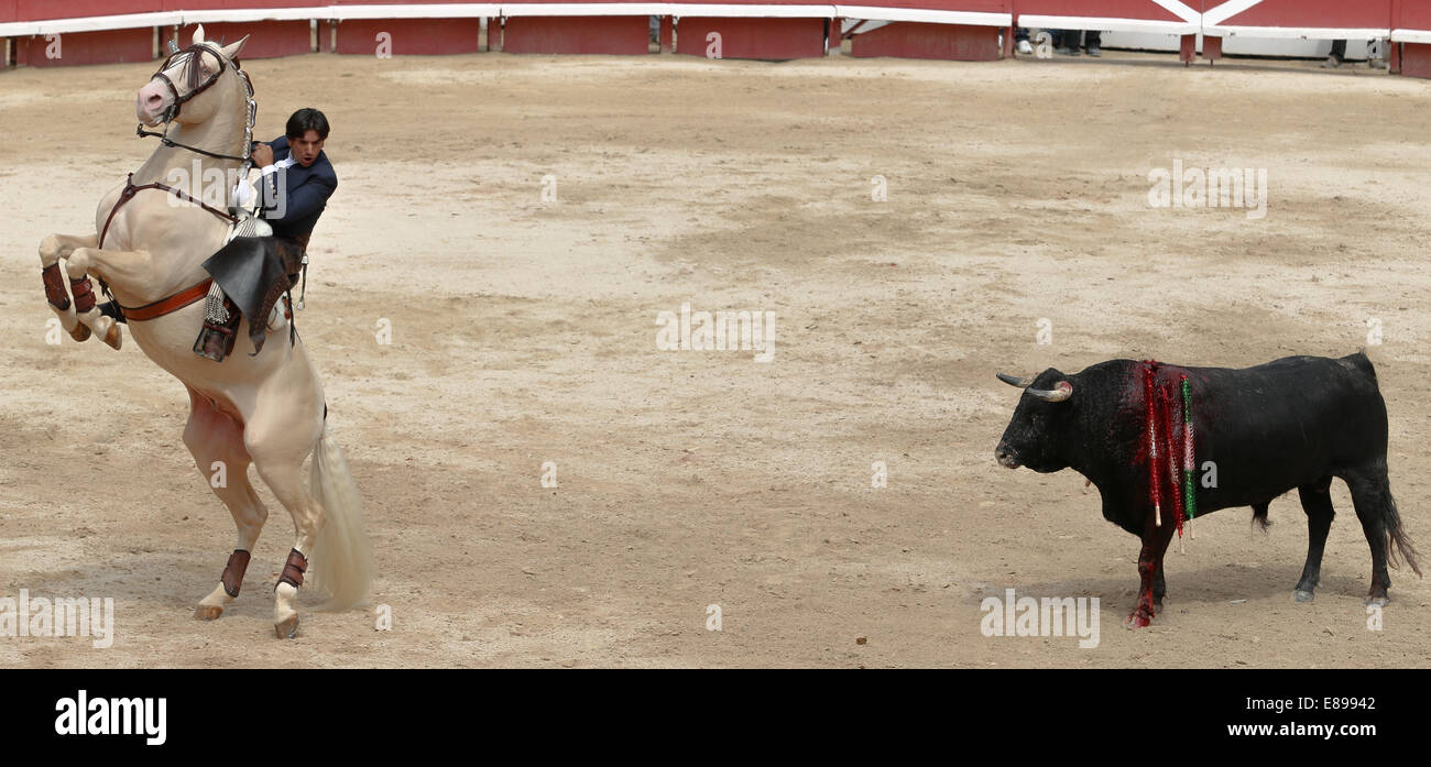 Corrida de rejon giocare Foto Stock