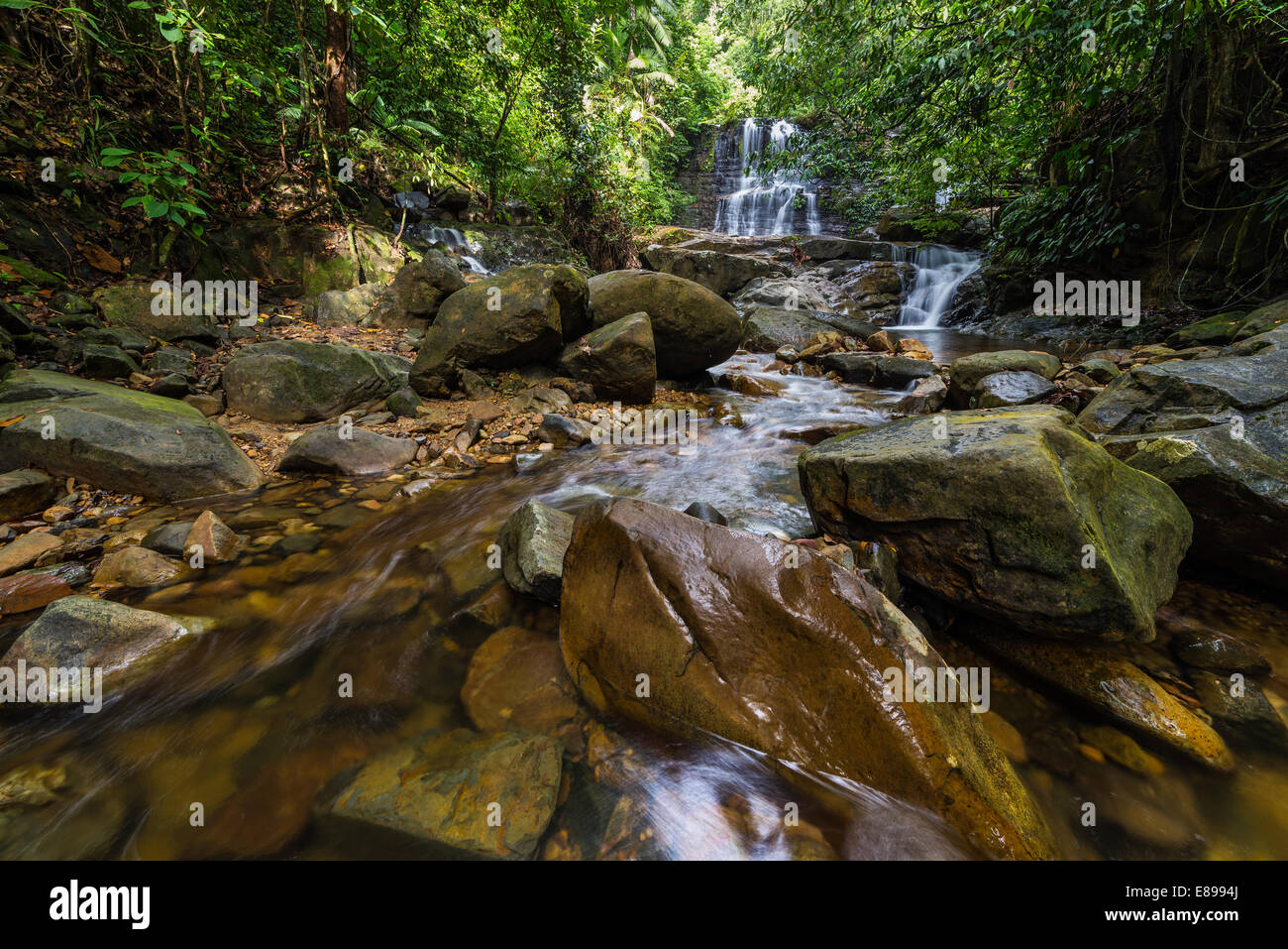 Maestose cascate nella densa foresta pluviale di Kubah National Park, West Sarawak, Borneo Malese. Foto Stock