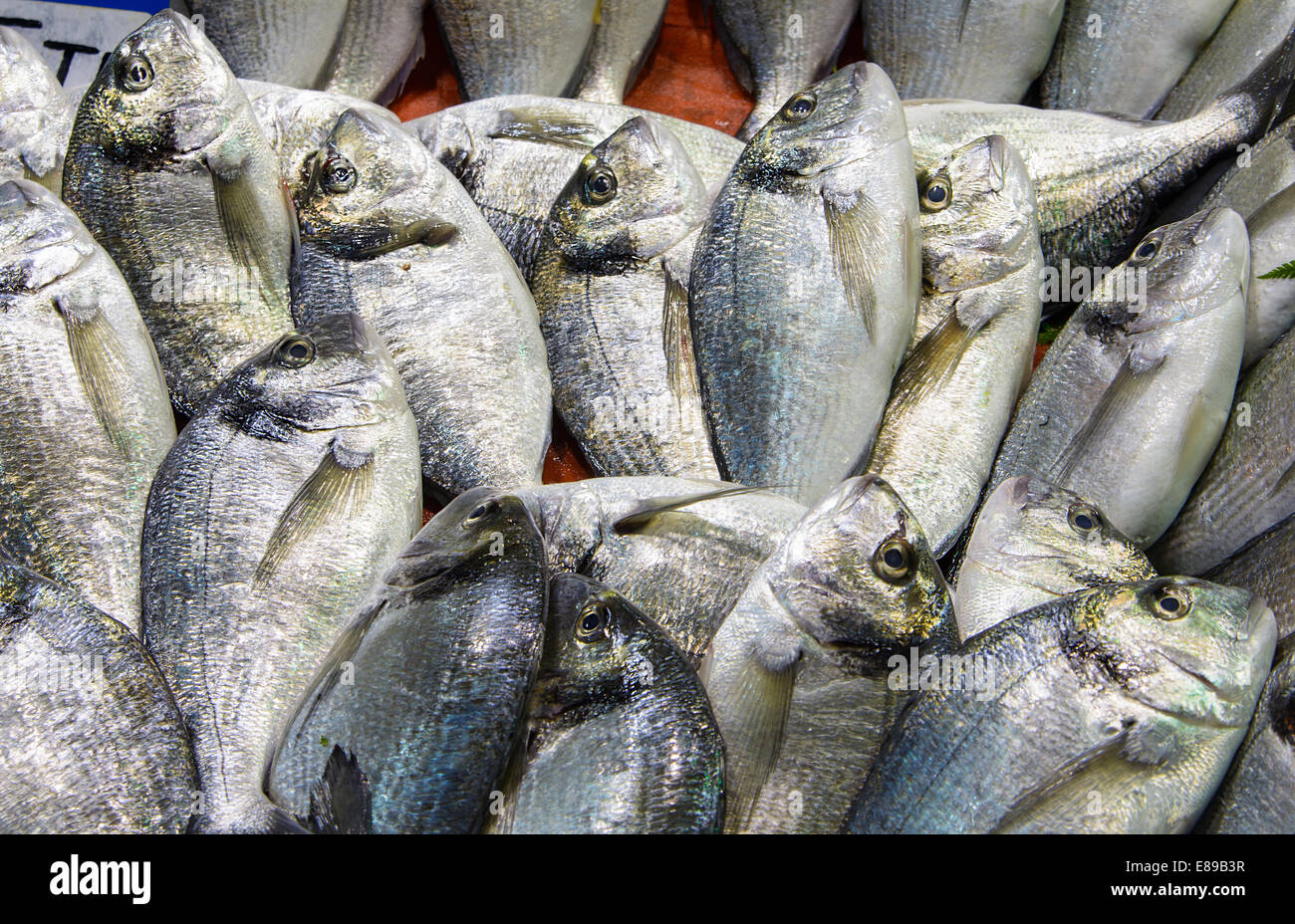 Pesce fresco in un mercato per la vendita. Foto Stock