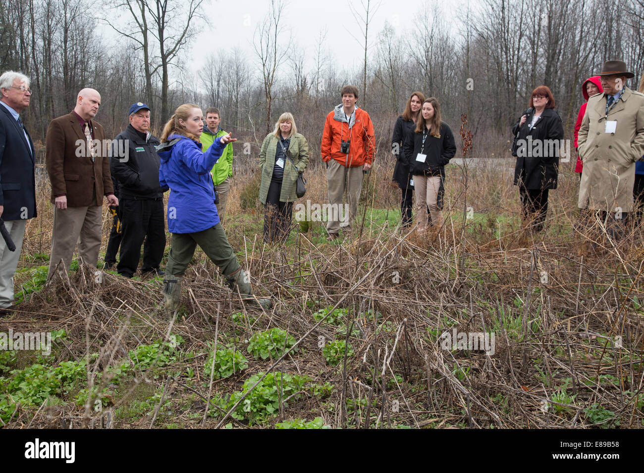 Novi nel Michigan - Membri dell'habitat per la flora e la Fauna Consiglio tour di proprietà di aziende ITC. Foto Stock
