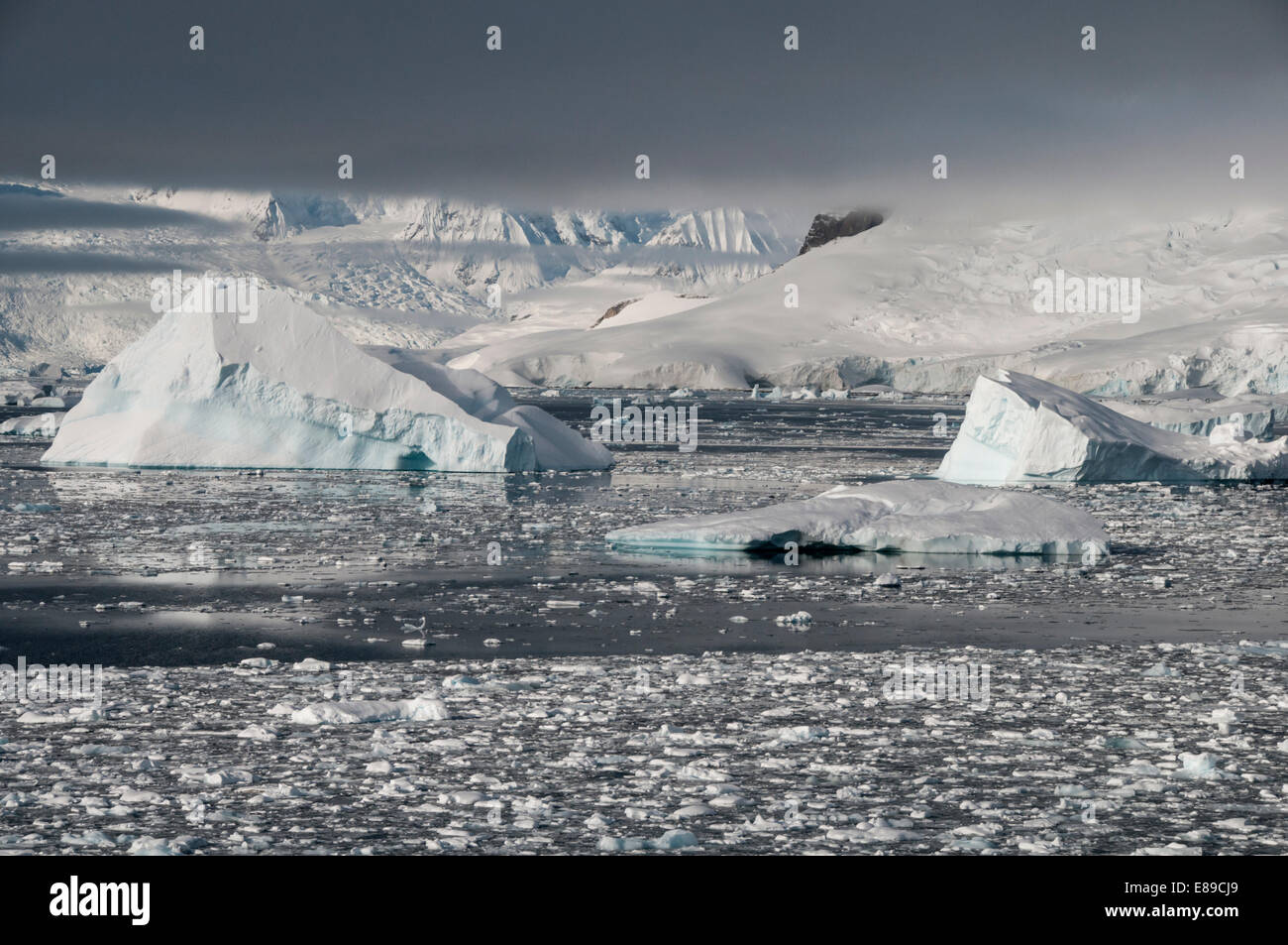 Una vista attraverso il paesaggio congelato e iceberg di Charlotte Bay in Antartide Foto Stock