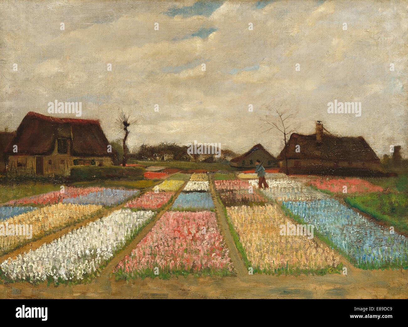 Vincent van Gogh (Olandese, 1853 - 1890 ), letti di fiori in Olanda, c. 1883, olio su tela su legno Foto Stock