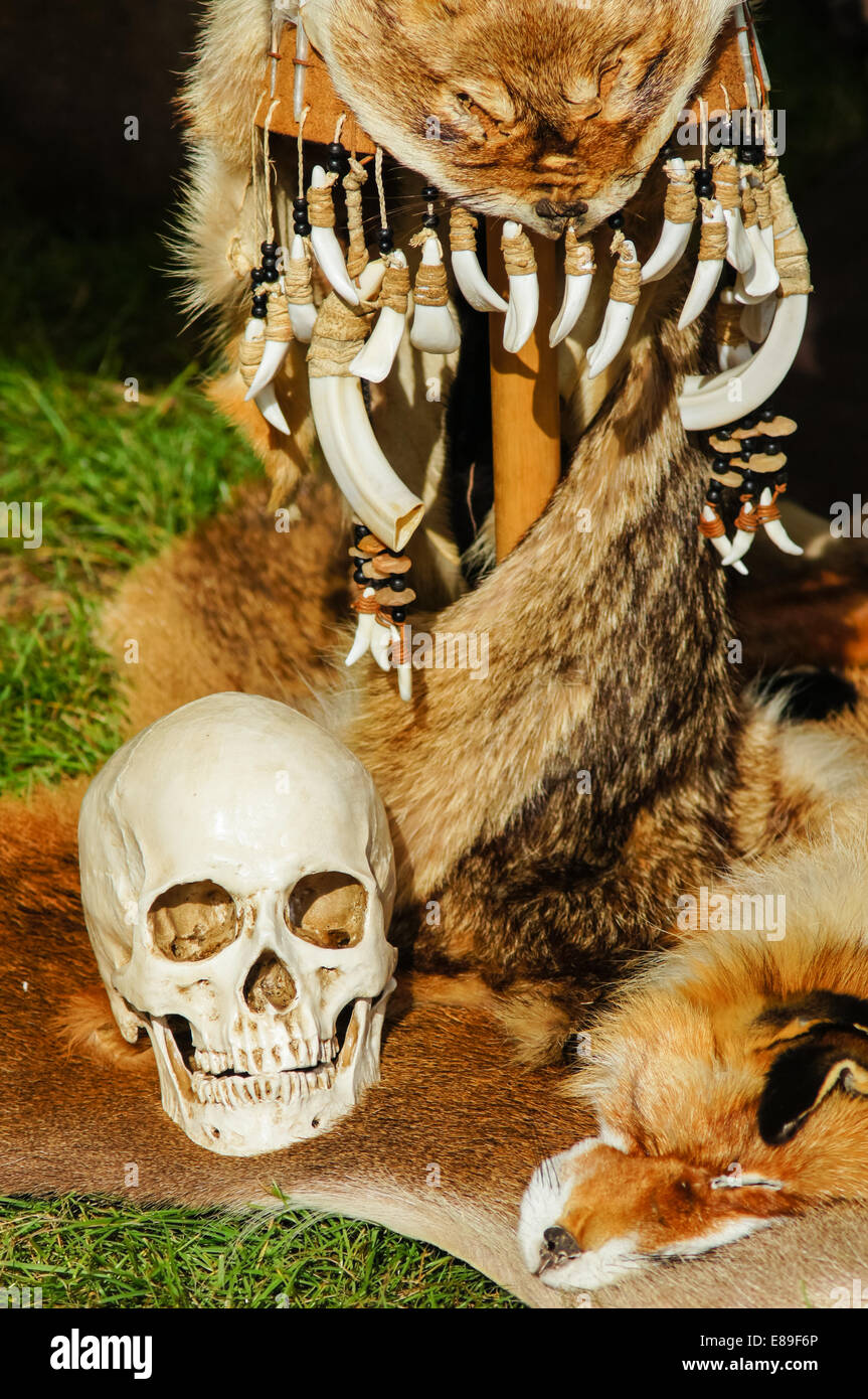 Display di archeologia a campagna live show, Londra England Regno Unito Regno Unito Foto Stock