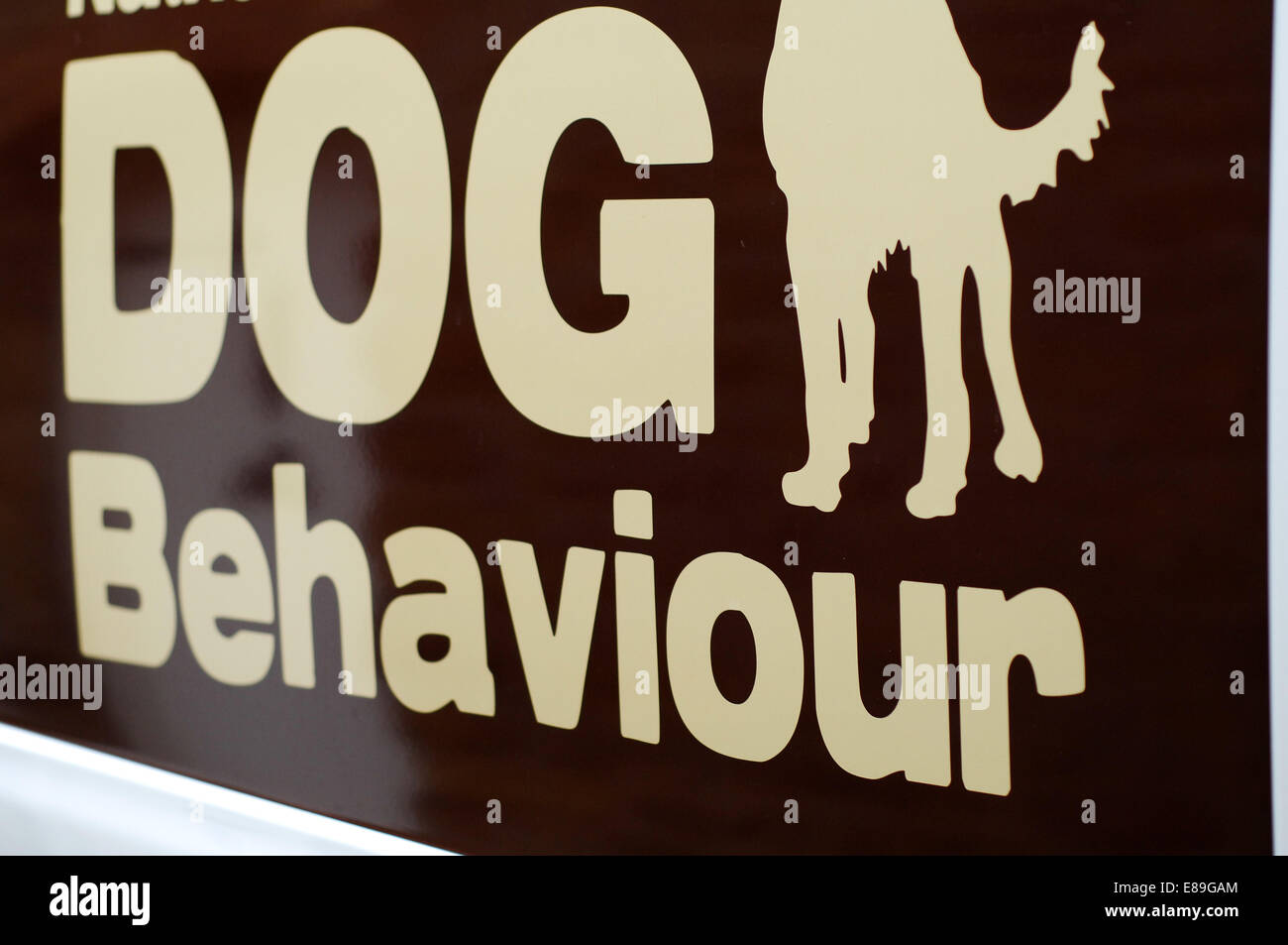 Comportamento del cane di segno Foto Stock