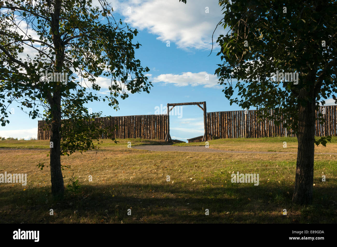 Elk203-6333 Canada, Alberta, Calgary, Forte di Calgary Foto Stock