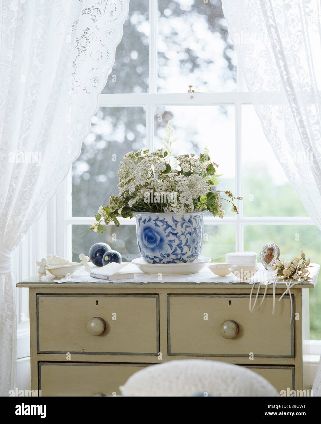 White tende di pizzo sulla finestra sopra dipinta di bianco torace-di-cassetti con fiori di colore bianco in blu+pot bianco Foto Stock