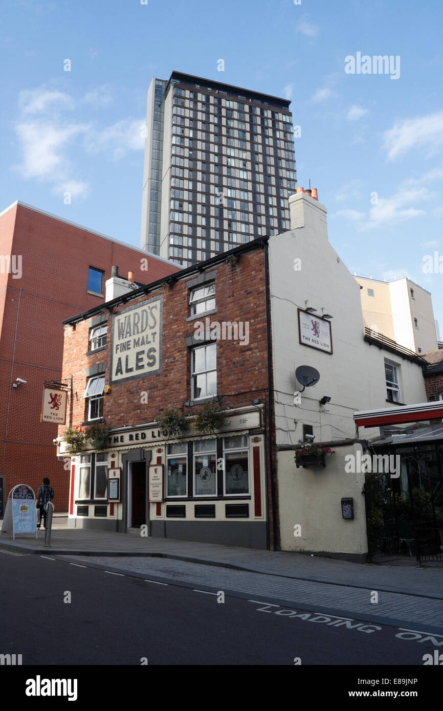 Il Pub Red Lion su Charles Street, Sheffield City Centre, City Loft torre dietro Foto Stock