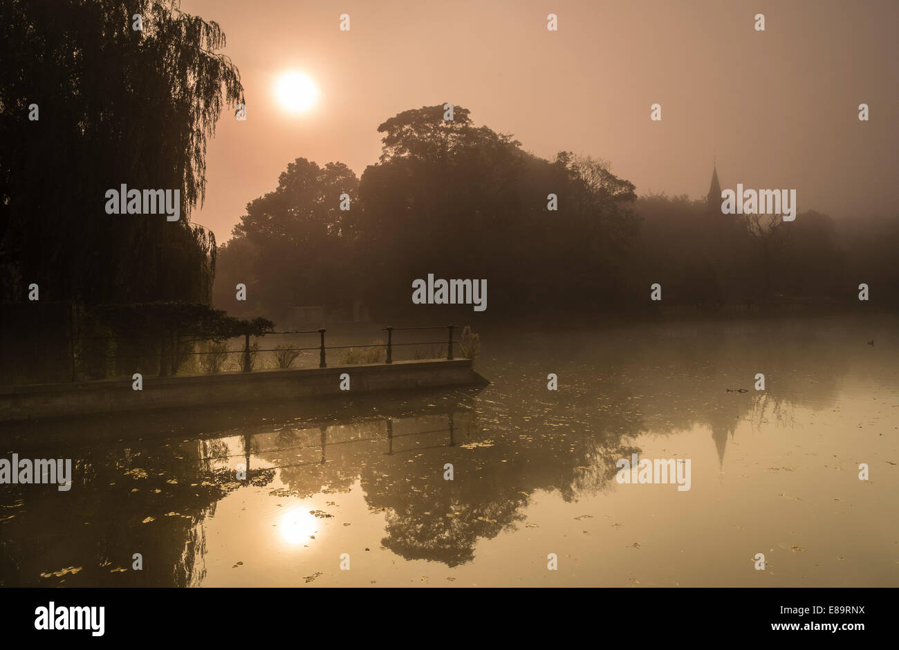 Un alba d'oro su Minnewater in Bruges Foto Stock
