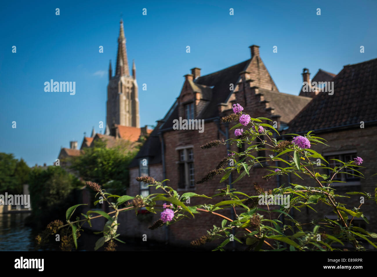 Onze-Lieve-Vrouw Brugge. Chiesa di Nostra Signora a Bruges, Belgio Foto Stock