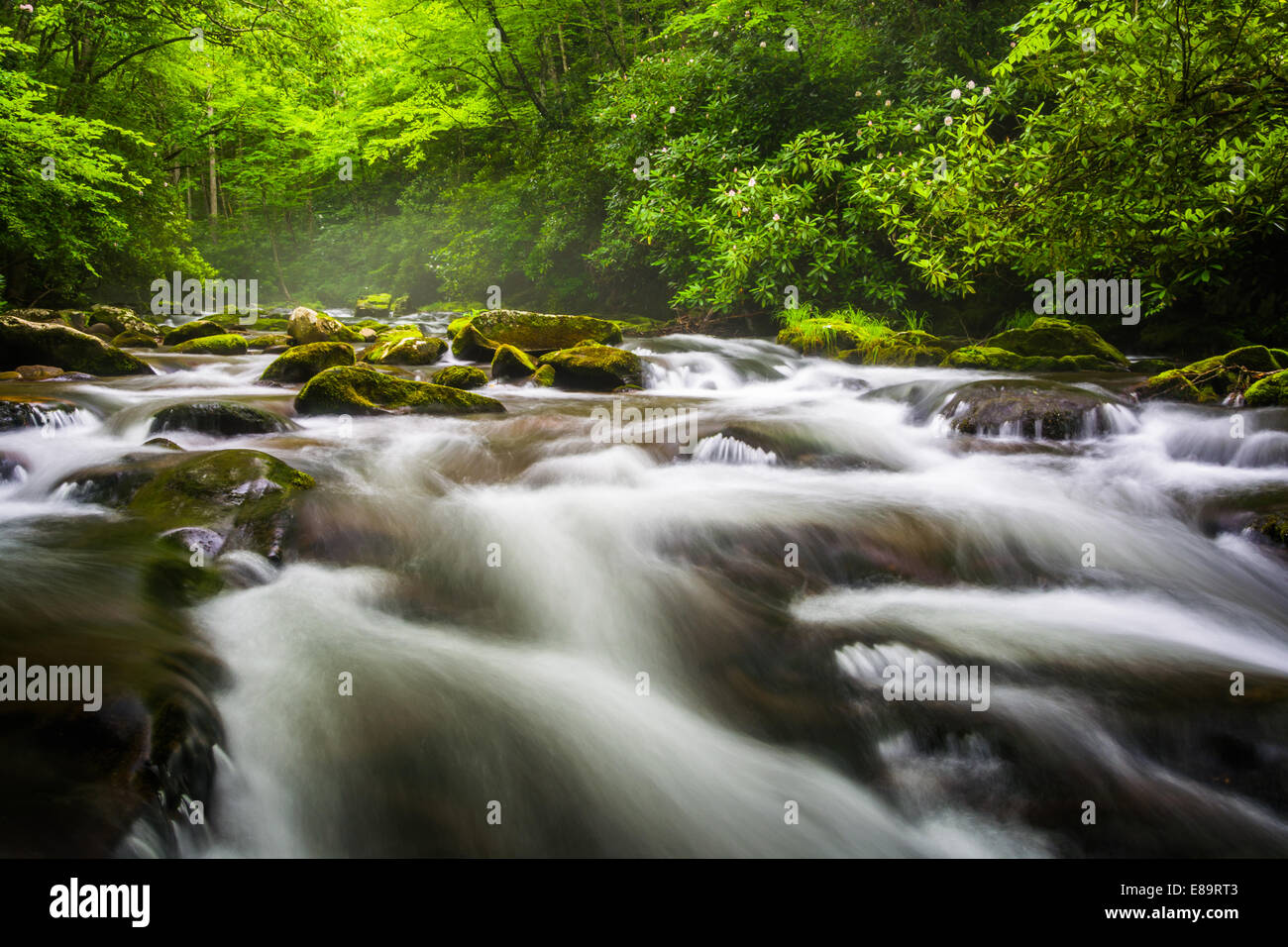 Le cascate del fiume Oconaluftee, a Great Smoky Mountains National Park, North Carolina. Foto Stock