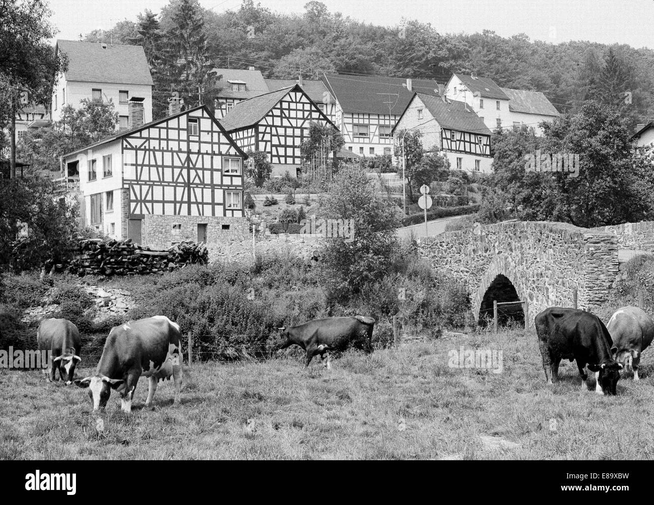 Achtziger Jahre, Dorfidylle Wirzenborn, Fachwerkhaeuser, Rinder auf der Weide, Steinbruecke ueber den Gelbach, Montabaur, Naturpark Nassau, Westerwald Foto Stock