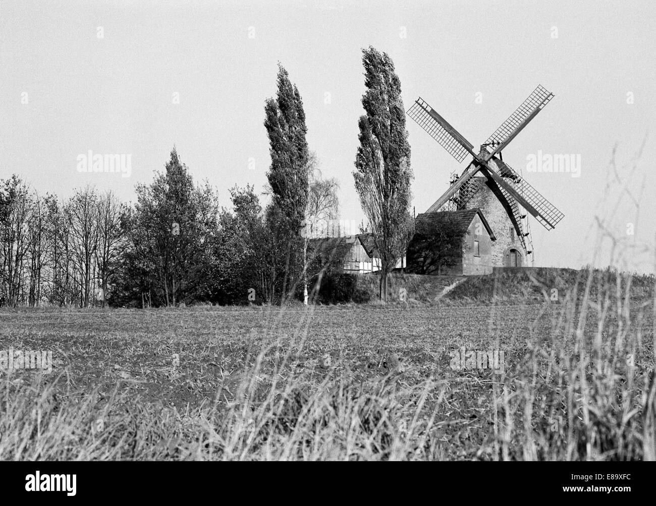 Achtziger Jahre, Windmuehle, Liesbergmuehle auf dem Liesberg in Enger, Ravensberger, Land Renania settentrionale-Vestfalia Foto Stock