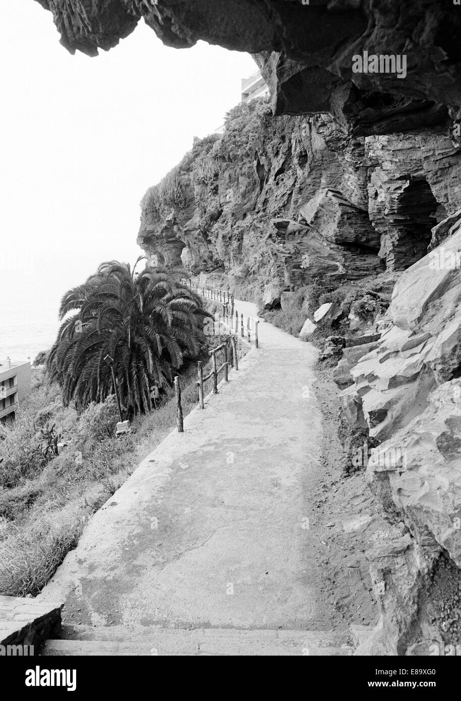 Achtziger Jahre, schmaler Fusspfad in felsiger Kuestenlandschaft, Puerto de la Cruz, Teneriffa, Kanarische isole, Spanien Foto Stock