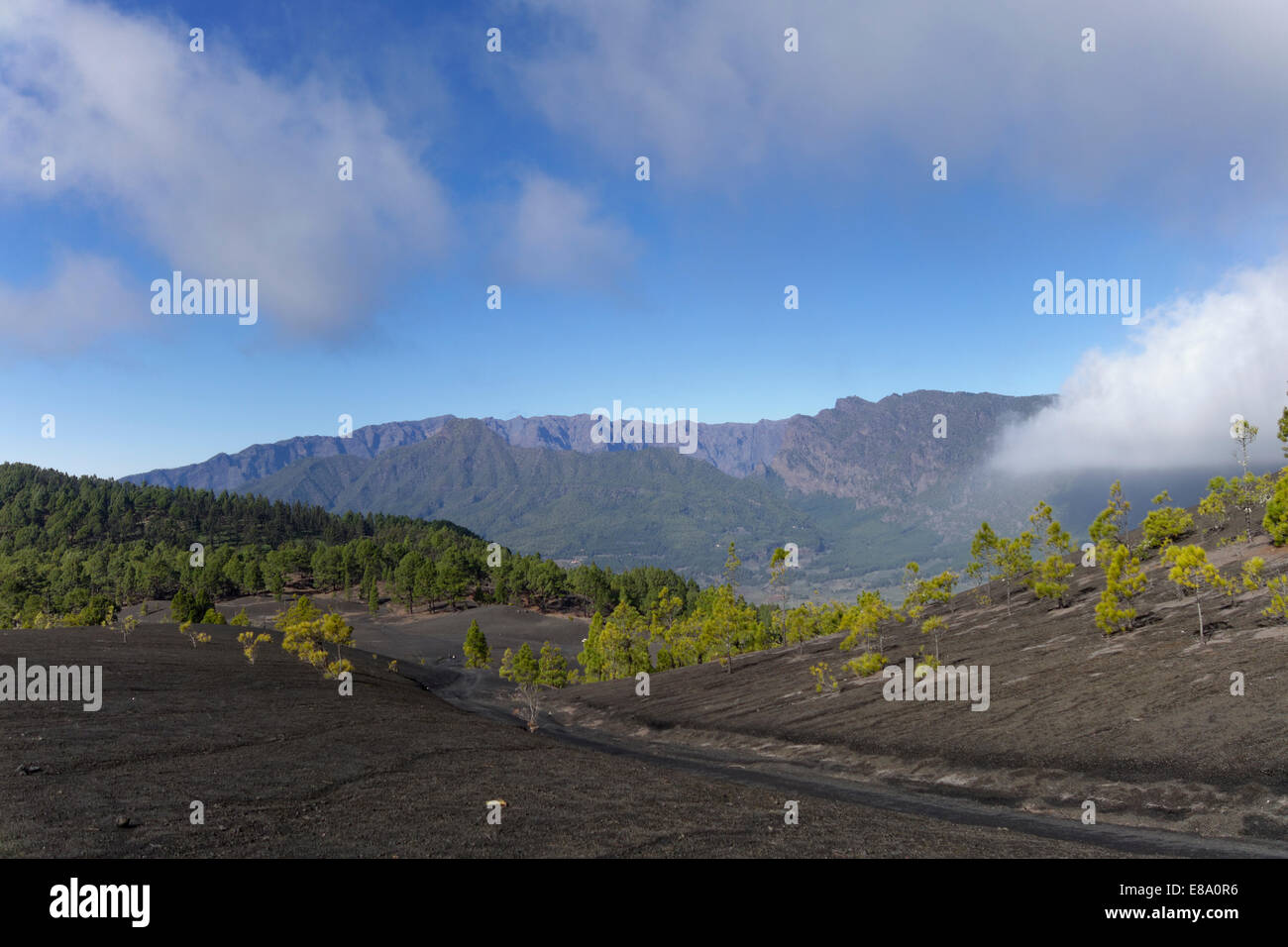 Llano de Jable a El Paso con vista sulla Caldera, La Palma Isole Canarie Spagna Foto Stock