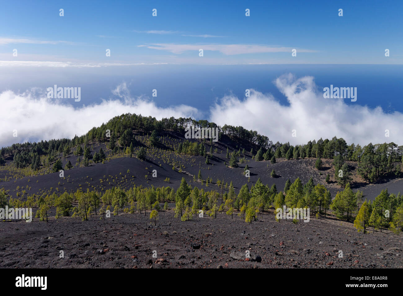 Vista dal vulcano San Martín, Cumbre Vieja a Fuencaliente, La Palma Isole Canarie Spagna Foto Stock