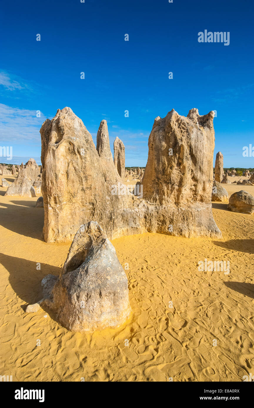 I Pinnacoli formazioni calcaree, Nambung National Park, Australia occidentale Foto Stock