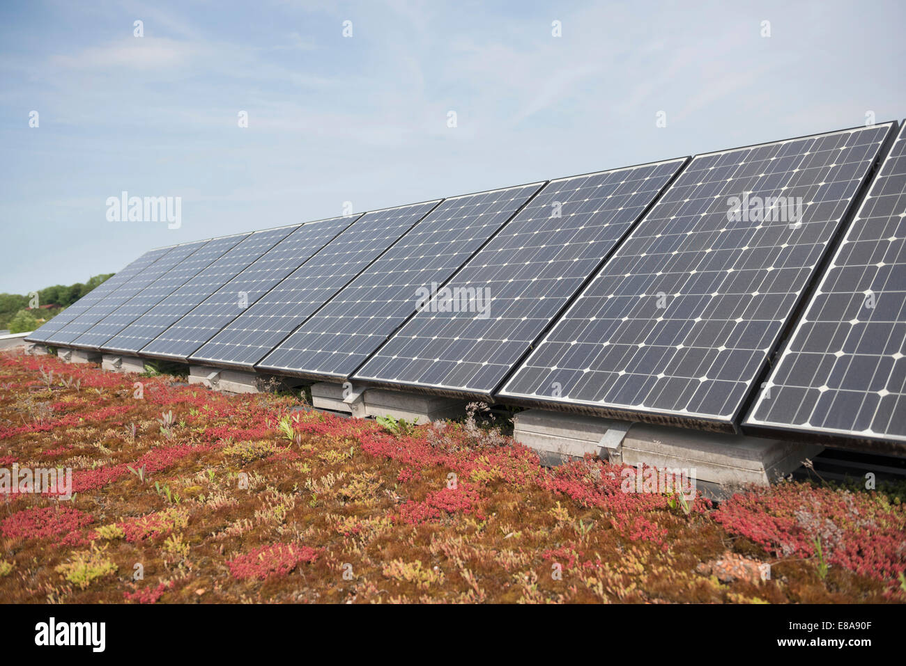 Pannello solare di concentratore di celle fotovoltaiche - alternativa  efficiente tecnologia solare Foto stock - Alamy