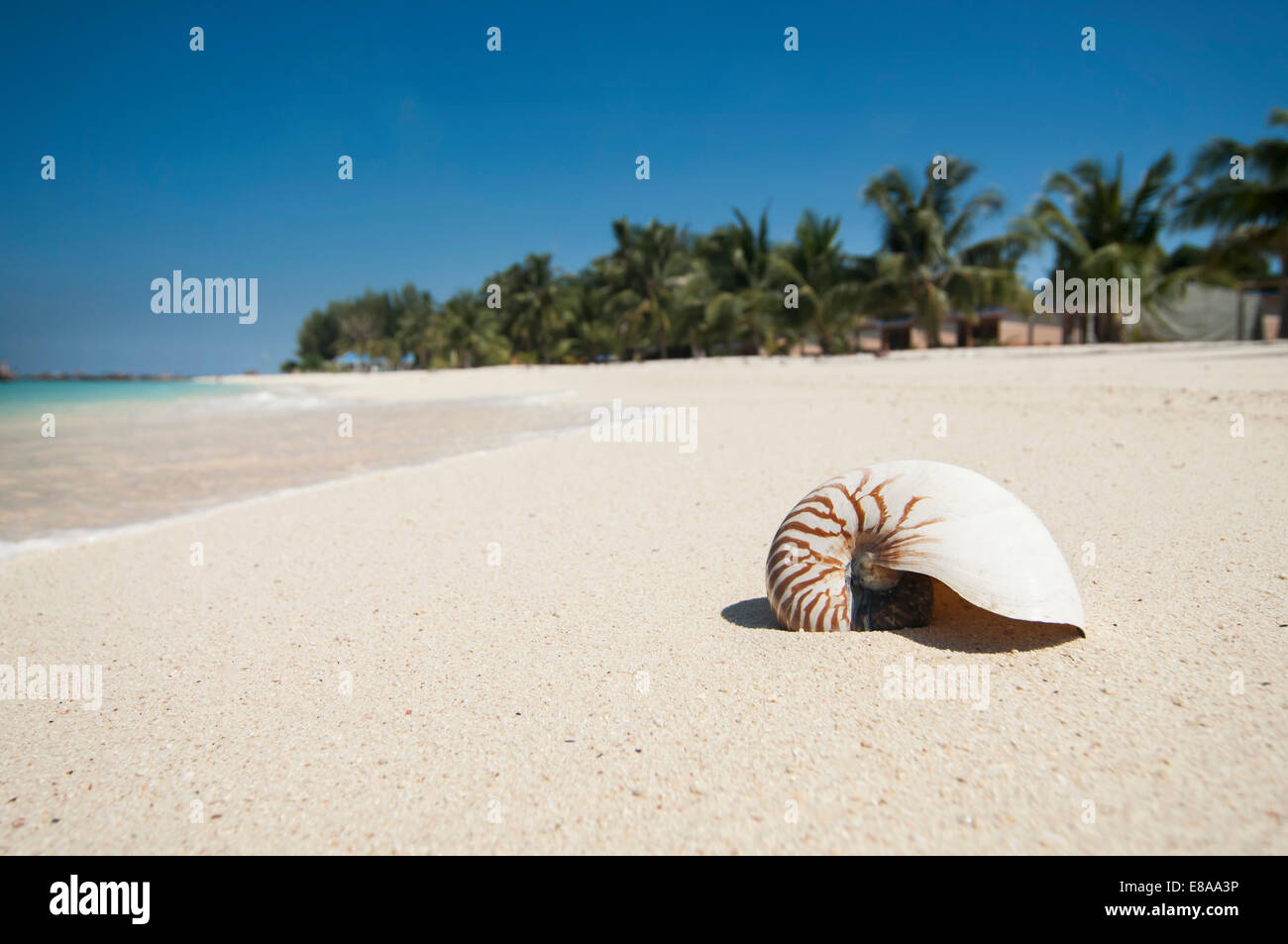 In Nautilus Beach, Koh Lipe, Thailandia Foto Stock