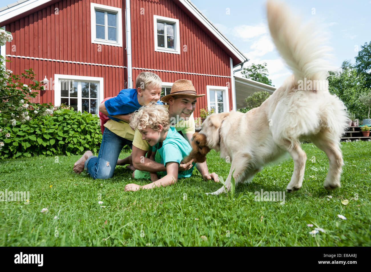 Padre e figli cane giocando sull'erba Foto Stock