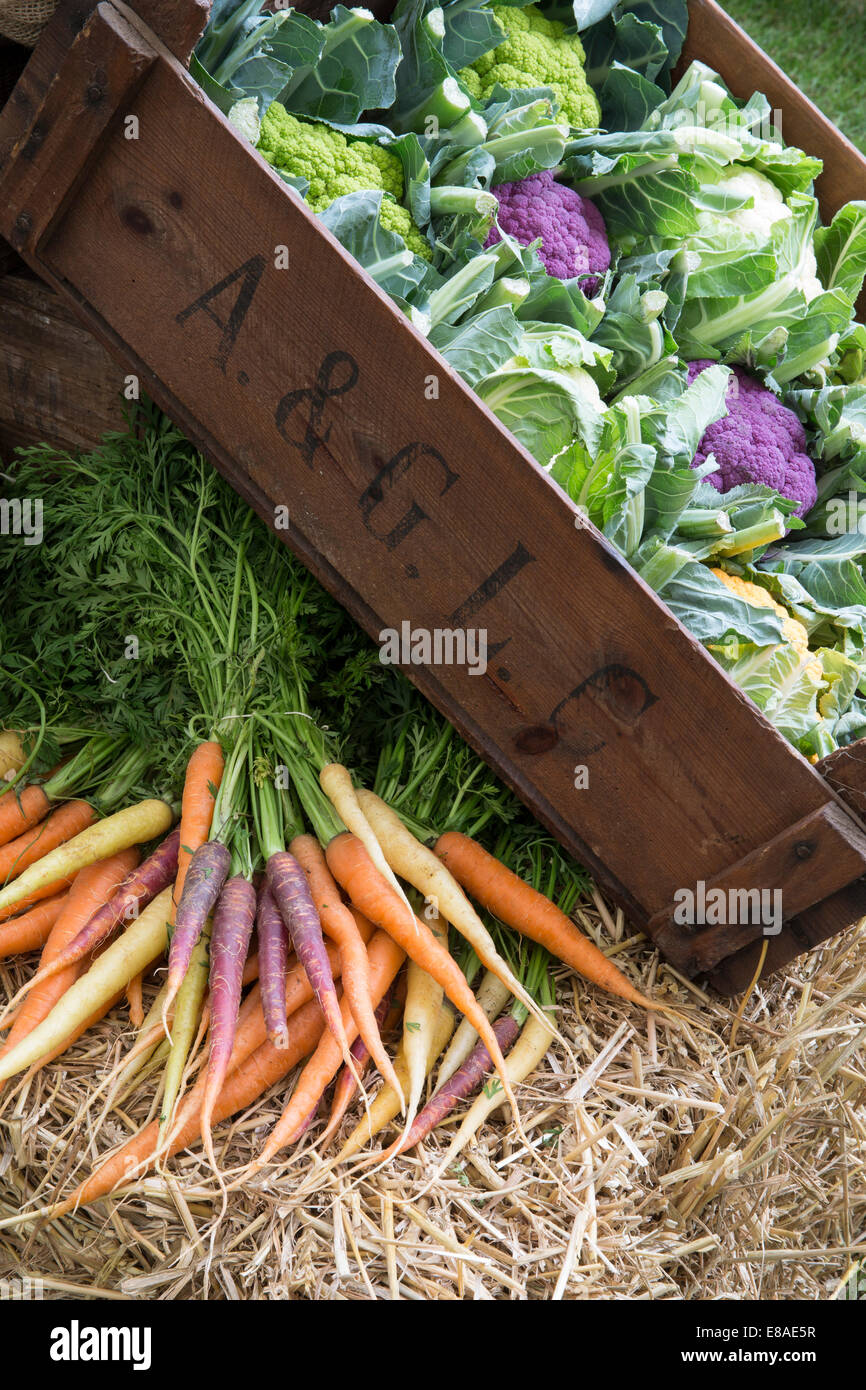 Vendemmia autunnale verdura e verdura in mostra presso un mercato agricolo con vari mercati di arcobaleno, cimeli, carote e cavolfiori, Regno Unito Foto Stock