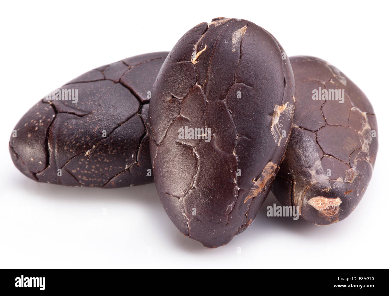 Le fave di cacao su uno sfondo bianco. Foto Stock