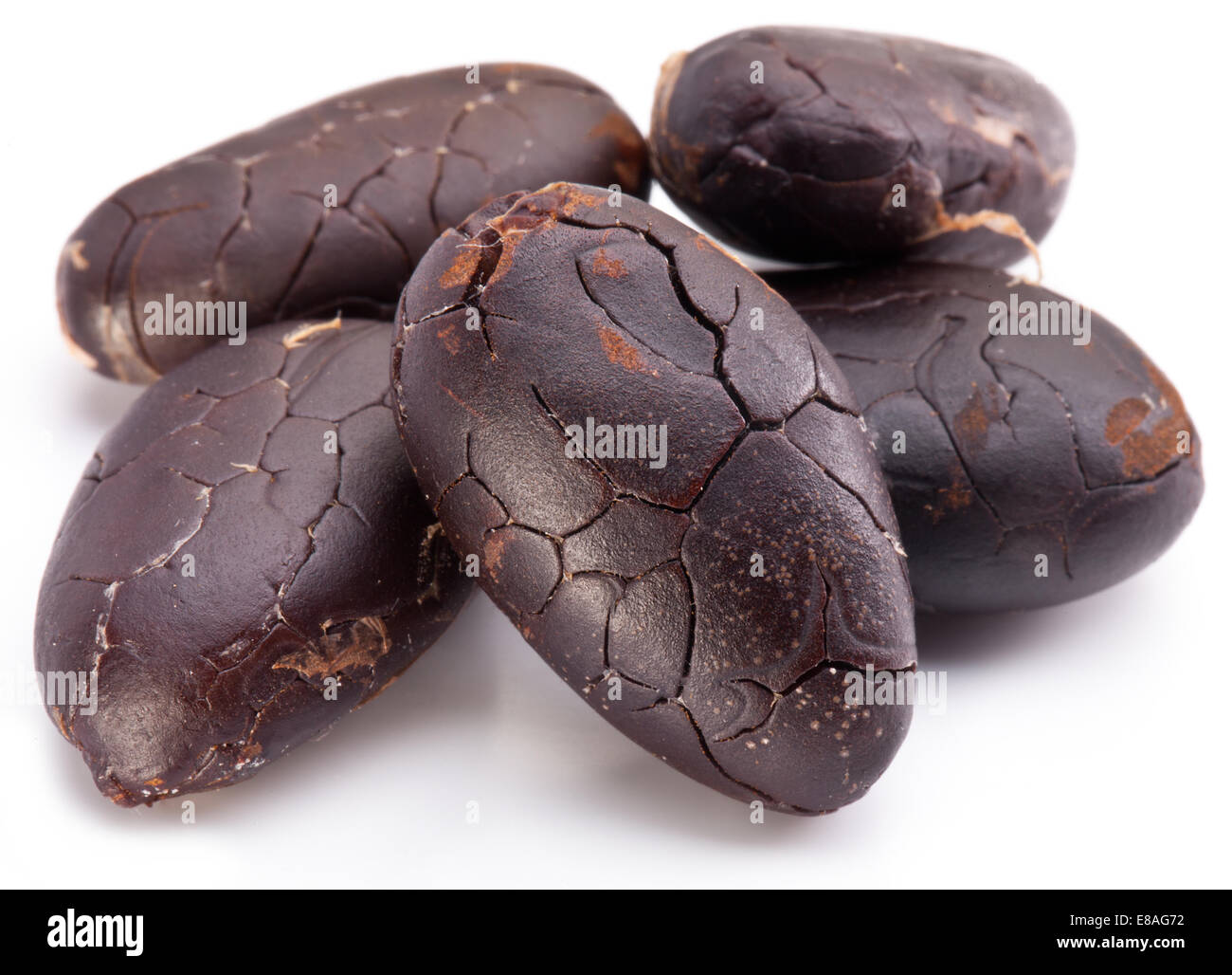 Le fave di cacao su uno sfondo bianco. Foto Stock
