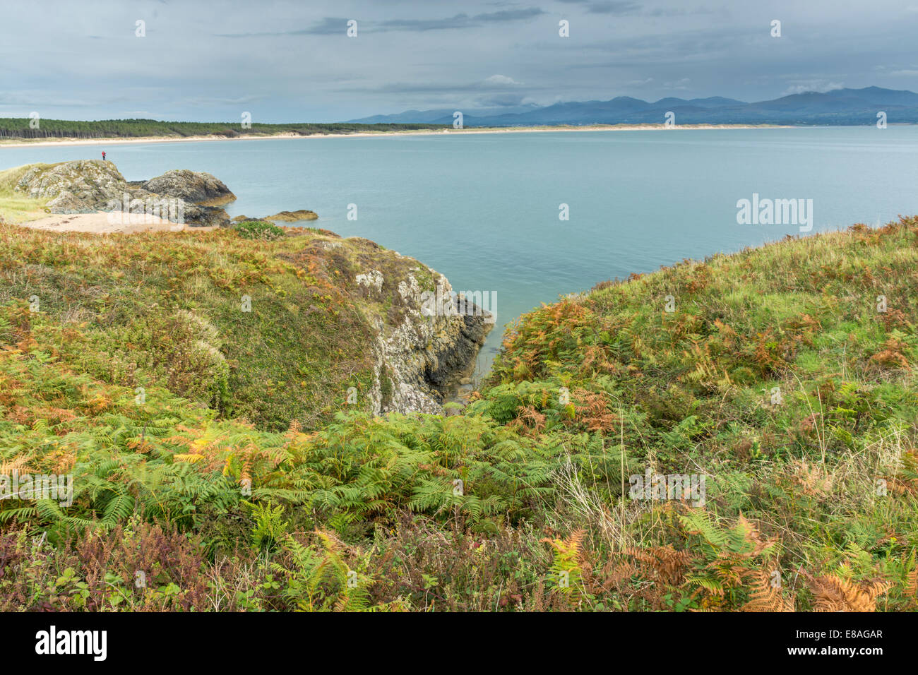 Vista da Llanddwyn Island, Newborough, Isola di Anglesey North Wales, Regno Unito Foto Stock