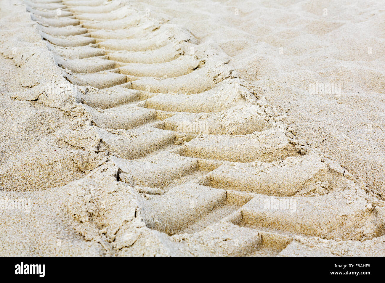 I pneumatici del trattore footprint Foto Stock